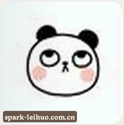 吴婷